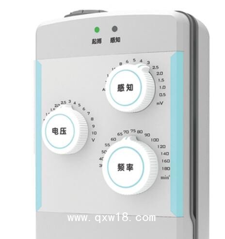 先健 臨時起搏器 6108