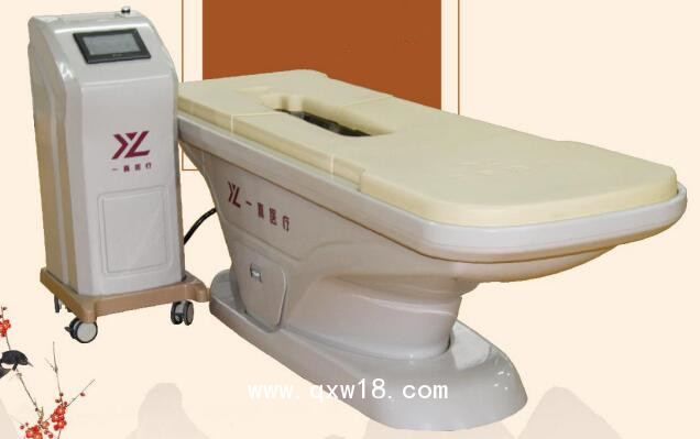 一真 熏蒸床 YZ-200C