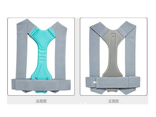姿勢邦背部固定器