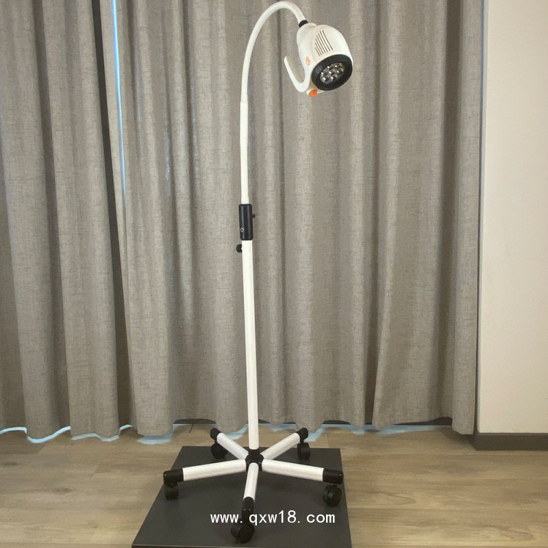 21WLED大把手鵝頸軟管醫(yī)用門診婦檢微整移動檢查手術照明燈