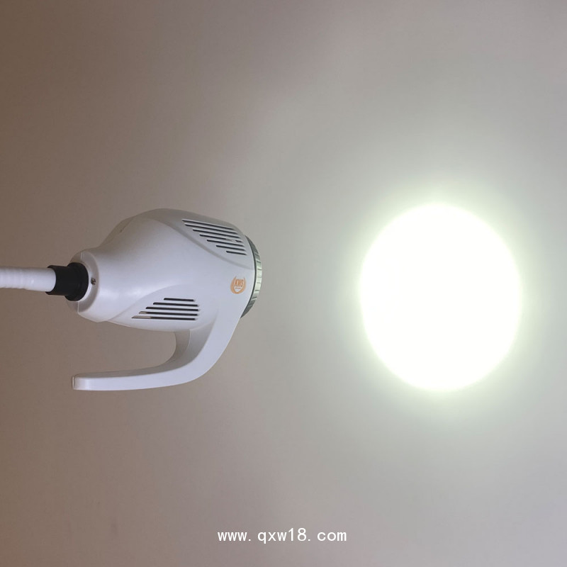 21WLED大把手鵝頸軟管醫(yī)用門診婦檢微整移動檢查手術照明燈