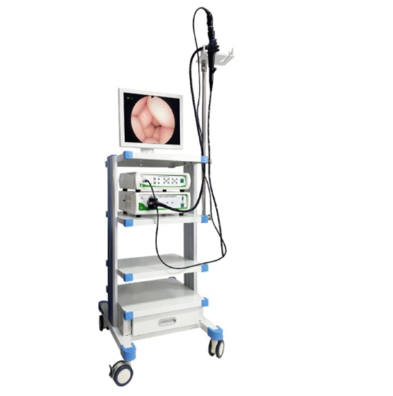 澳華 上消化道電子內(nèi)窺鏡 VME-98