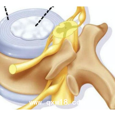 一次性纖維環(huán)縫合器工作原理