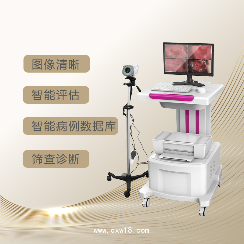 電子陰道鏡  數(shù)碼電子陰道鏡 婦科電子陰道鏡