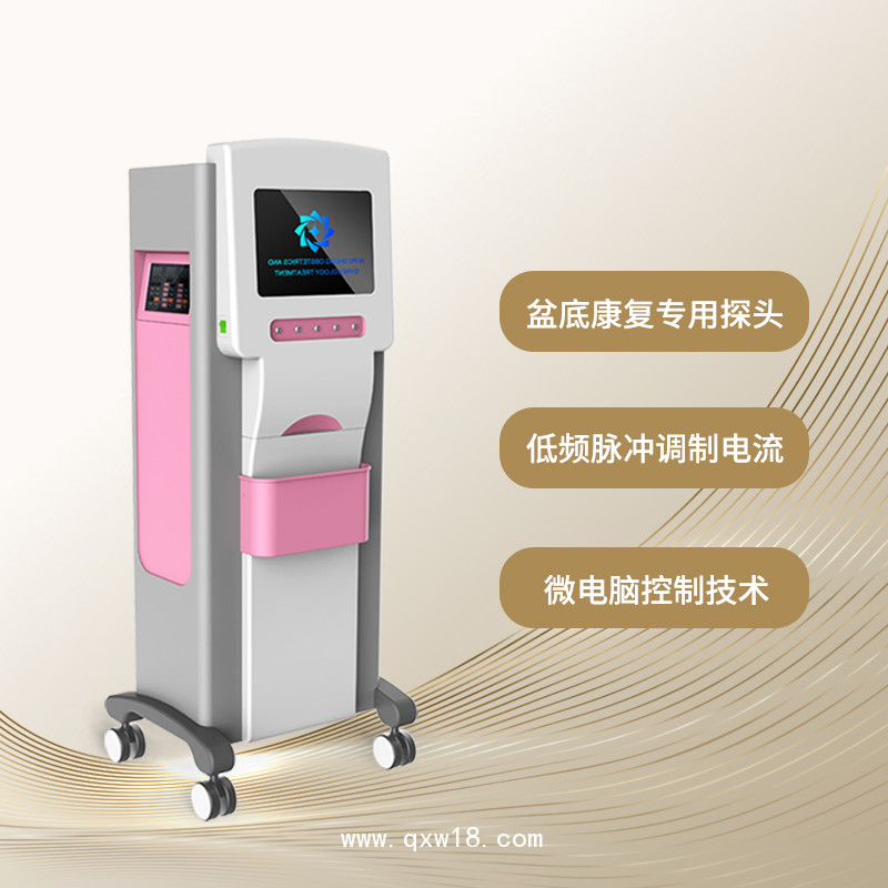 產(chǎn)后康復治療儀