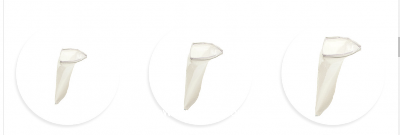 一次性使用內(nèi)窺鏡標(biāo)本取物袋