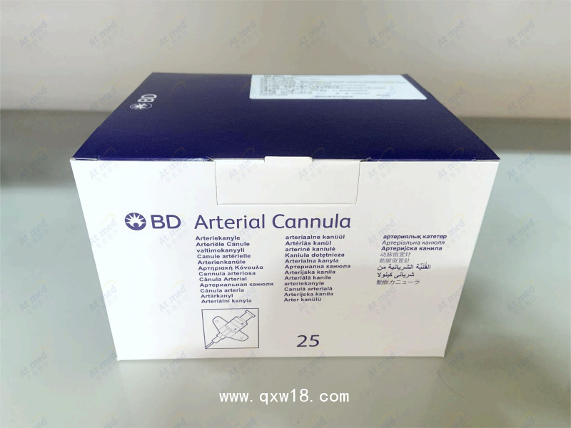 碧迪 動脈留置針 6882245