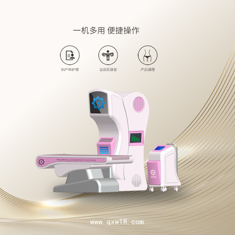 婦科治療儀 婦科治療儀生產(chǎn)廠家  婦科綜合治療儀