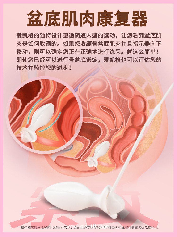 盆底肌肉康復(fù)器