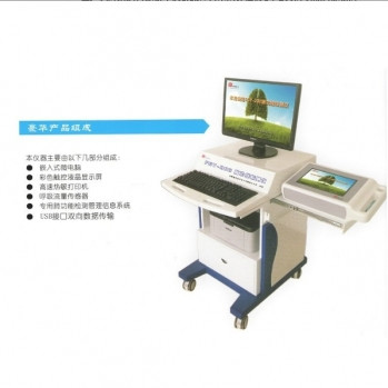 肺功能檢測儀,FGY-200,FGY-300肺功能檢測儀,國產(chǎn)簡易肺部檢查設備