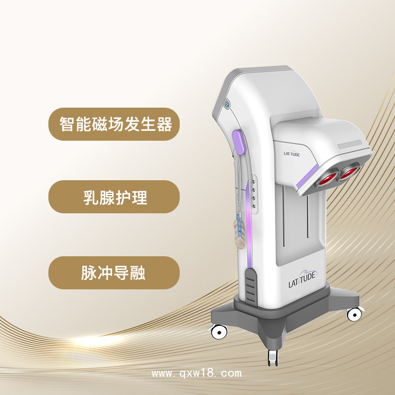 盆底肌修復(fù)儀器設(shè)備  盆底肌治療儀器  產(chǎn)后盆底修復(fù)儀