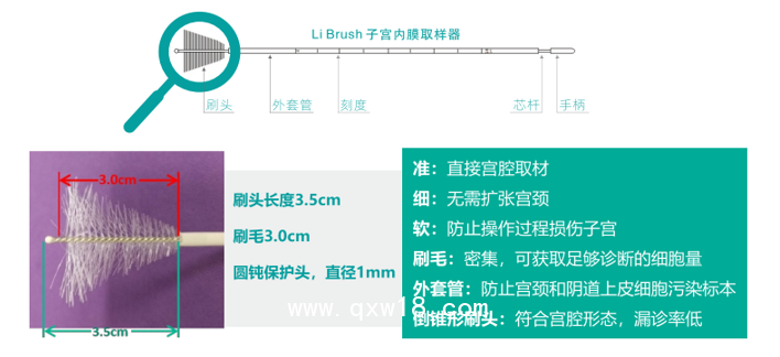 一次性使用宮頸宮腔取樣刷套裝