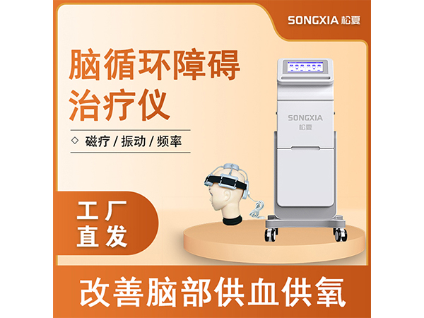 腦循環(huán)功能障礙治療儀/腦循環(huán)康復(fù)治療儀/經(jīng)顱磁