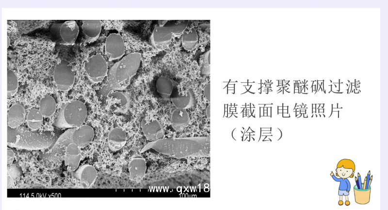 聚醚砜膜 0.2微米精密藥液過濾器