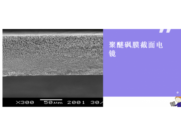聚醚砜膜 一次性使用精密藥液過(guò)濾器