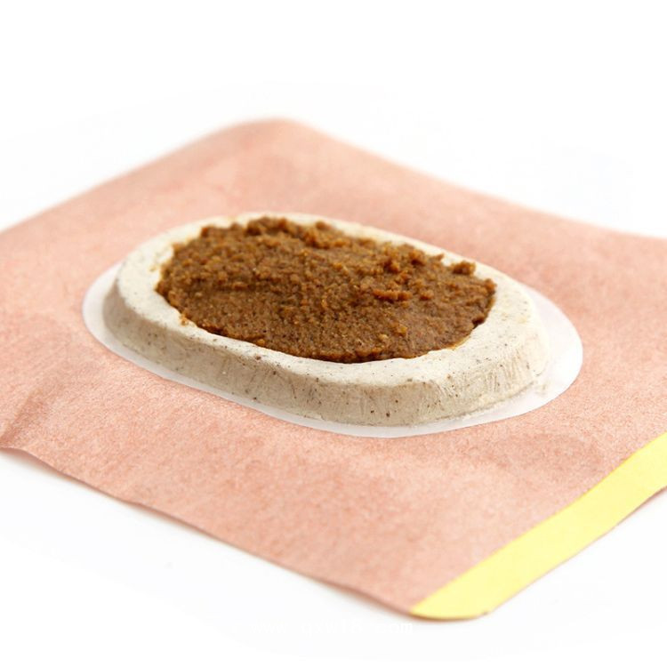 沙蒿子透皮貼（帶透皮液）/械字號透皮貼/透皮貼批發(fā)代理