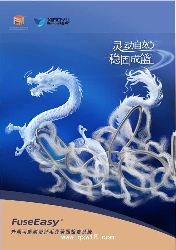 外周可解脫帶纖毛彈簧圈栓塞系統(tǒng)