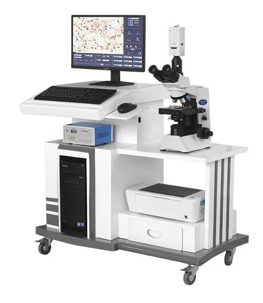 自動精子質(zhì)量分析儀