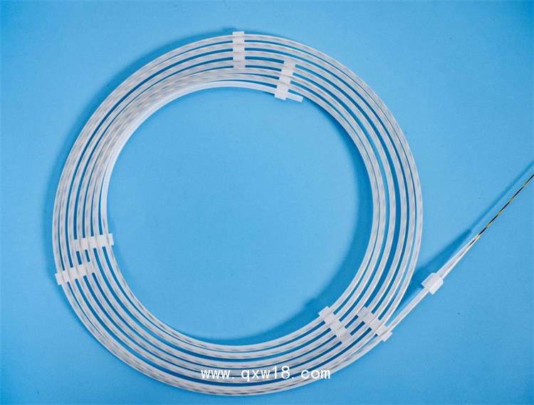 消化內(nèi)窺鏡用一次性導絲，生產(chǎn)廠家，量大貼牌代加工