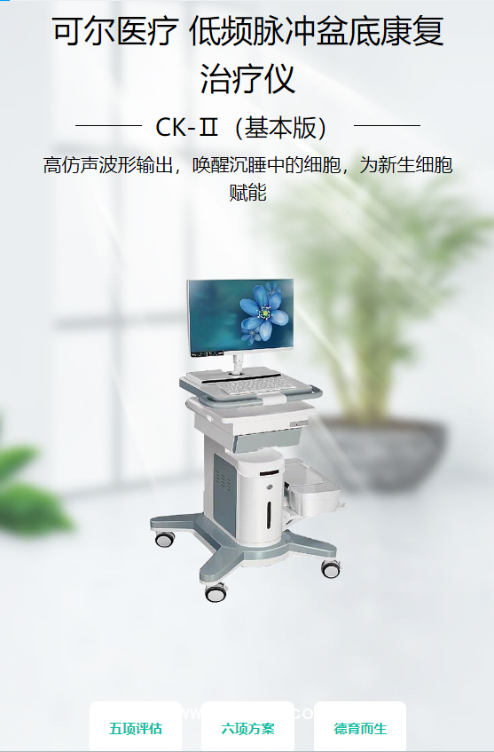 可爾醫(yī)療 低頻脈沖盆底康復(fù)治療儀 CK-Ⅱ（基本版）