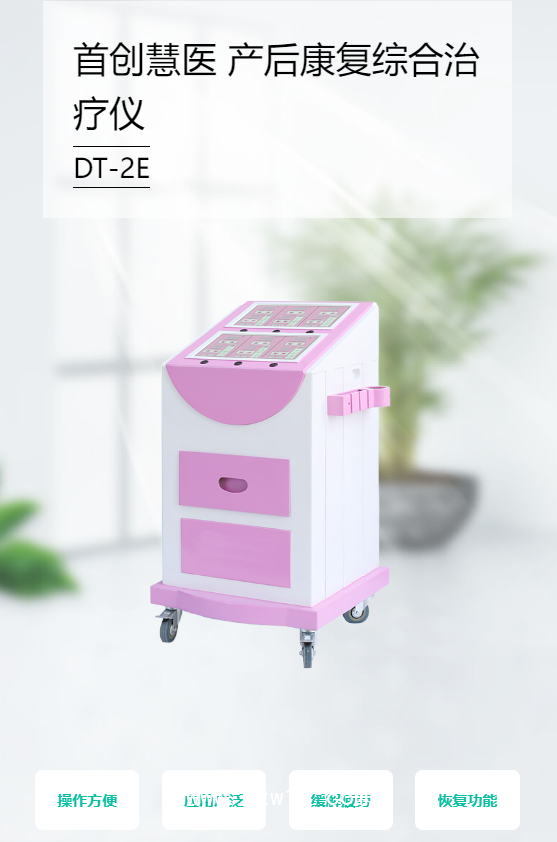首創(chuàng)慧醫(yī) 產(chǎn)后康復綜合治療儀 DT-2E