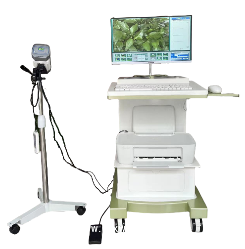 數(shù)碼電子陰道鏡