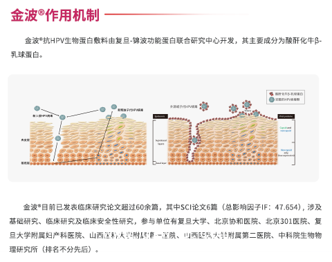 金波?抗HPV生物蛋白敷料