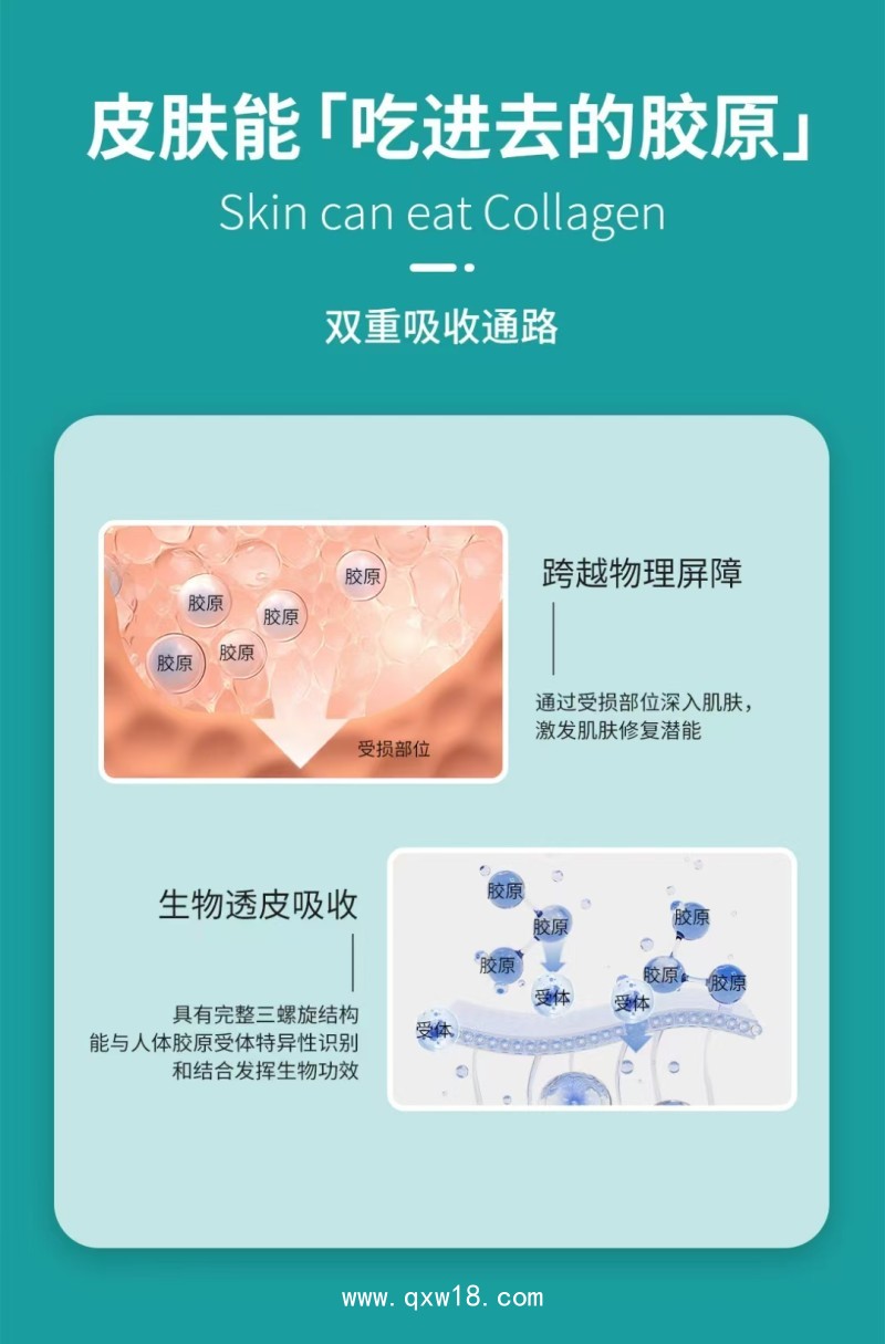 膠原貼敷料—三類文號(hào)—廠家直銷 可貼牌代加工