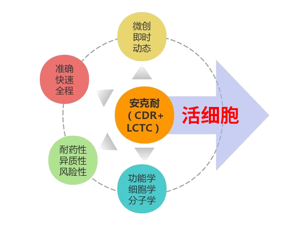 新一代活性循環(huán)腫瘤細(xì)胞檢測(cè)（安克耐?）