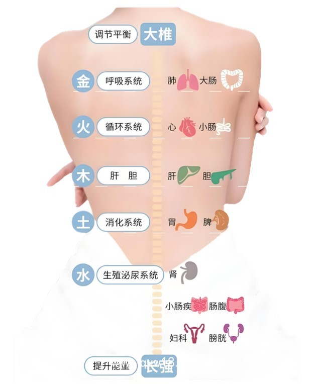 智能AI動(dòng)力溫控經(jīng)皮治療系統(tǒng)