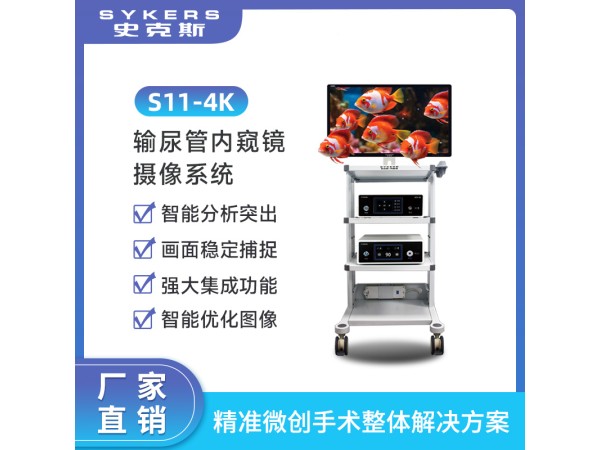 SYKERS 史克斯內(nèi)窺鏡攝像系統(tǒng) 4K攝像系統(tǒng) 輸尿管內(nèi)窺鏡 監(jiān)視器 冷光源 攝像主機(jī) 臺車