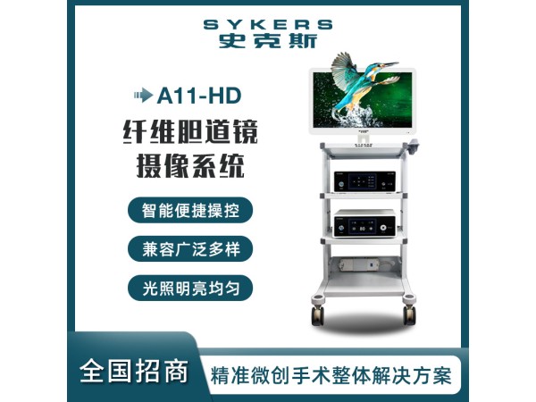 SYKERS 史克斯內(nèi)窺鏡 纖維膽道鏡 攝像系統(tǒng) 高清內(nèi)窺鏡攝像系統(tǒng)