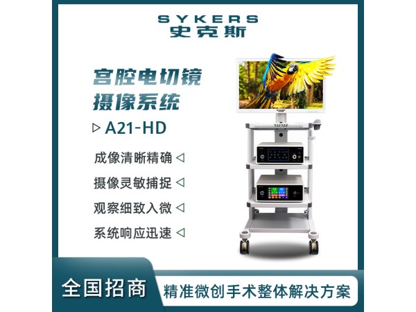 SYKERS 史克斯內(nèi)窺鏡 宮腔電切鏡 攝像系統(tǒng) 高清內(nèi)窺鏡攝像系統(tǒng)
