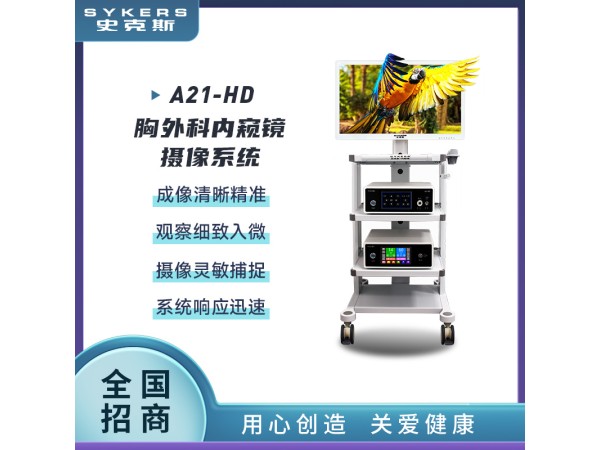 SYKERS 史克斯內(nèi)窺鏡 胸外科內(nèi)窺鏡 高清內(nèi)窺鏡攝像系統(tǒng)
