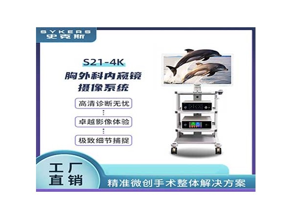 SYKERS 史克斯內(nèi)窺鏡 鼻鏡內(nèi)窺鏡攝像系統(tǒng) 五官科內(nèi)窺鏡攝像系統(tǒng)