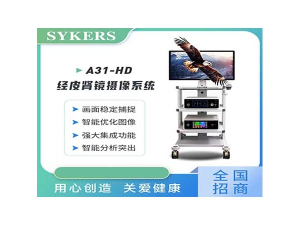 SYKERS 史克斯內(nèi)窺鏡 高清腹腔鏡攝像系統(tǒng) 60L氣腹機(jī) 氣腹機(jī)