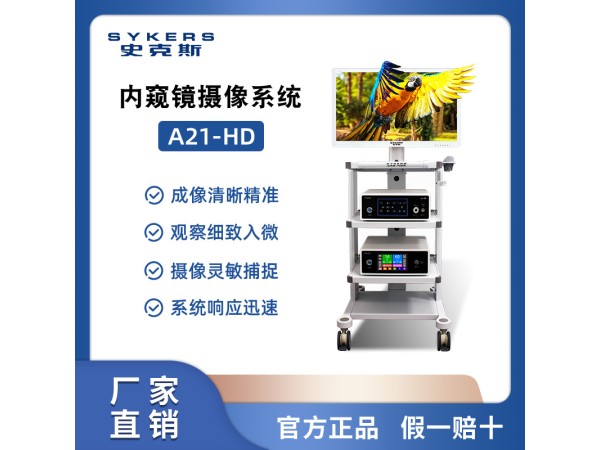 SYKERS 史克斯內(nèi)窺鏡 高清耳鼻喉鏡攝像系統(tǒng) 耳鼻喉治療臺