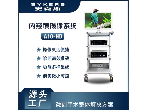 SYKERS 史克斯內(nèi)窺鏡 高清內(nèi)窺鏡攝像系統(tǒng) 五官科 耳鼻喉內(nèi)窺鏡