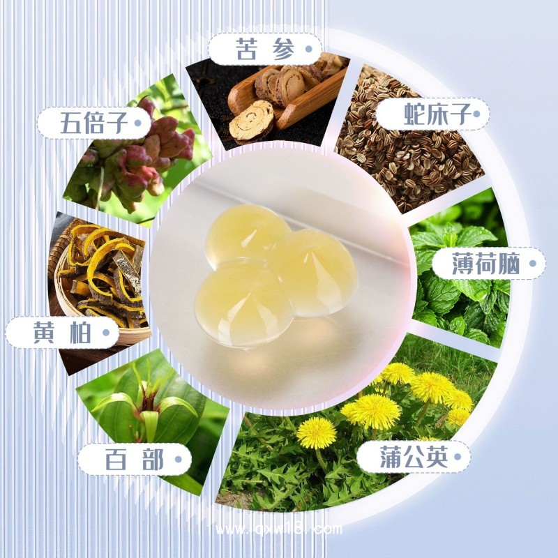 婦科凝膠貼牌代加工oem女性私密苦參抑菌凝膠私處護(hù)理清潔批發(fā)