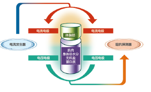 圖片關(guān)鍵詞