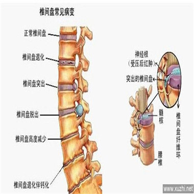 1496902764919285.jpg timg (55).jpg