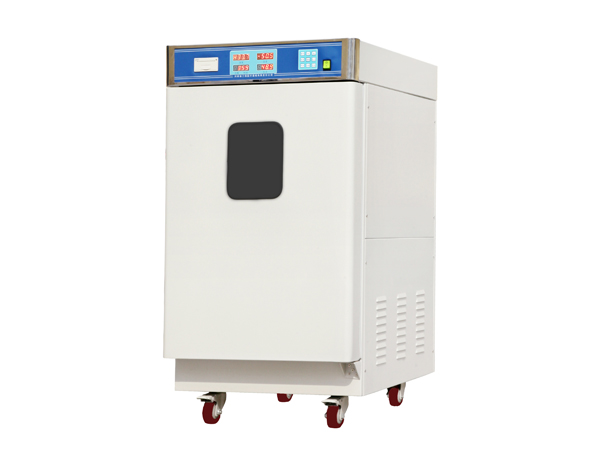 環(huán)氧乙烷滅菌柜(手動型立式)