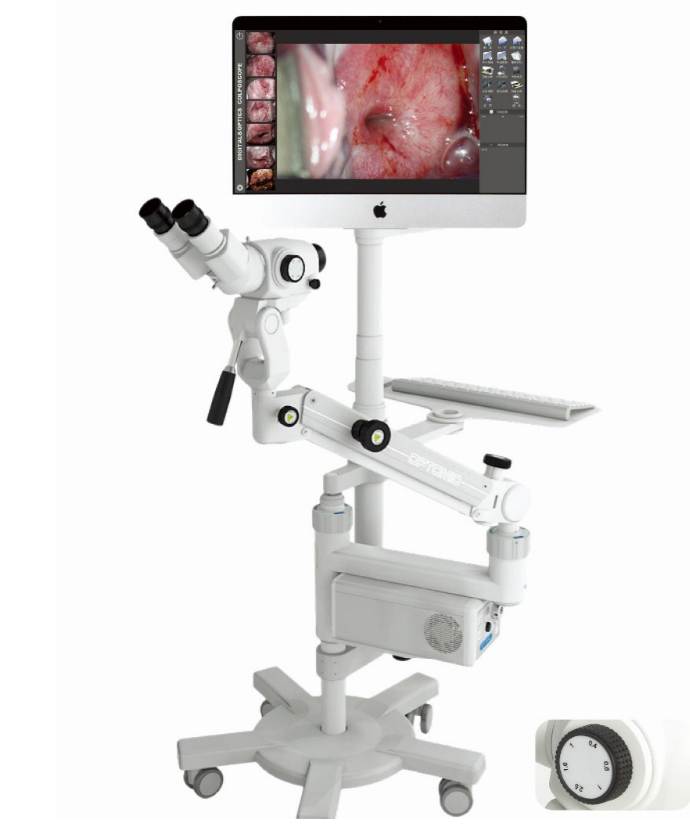 1554099762305281.png image.png