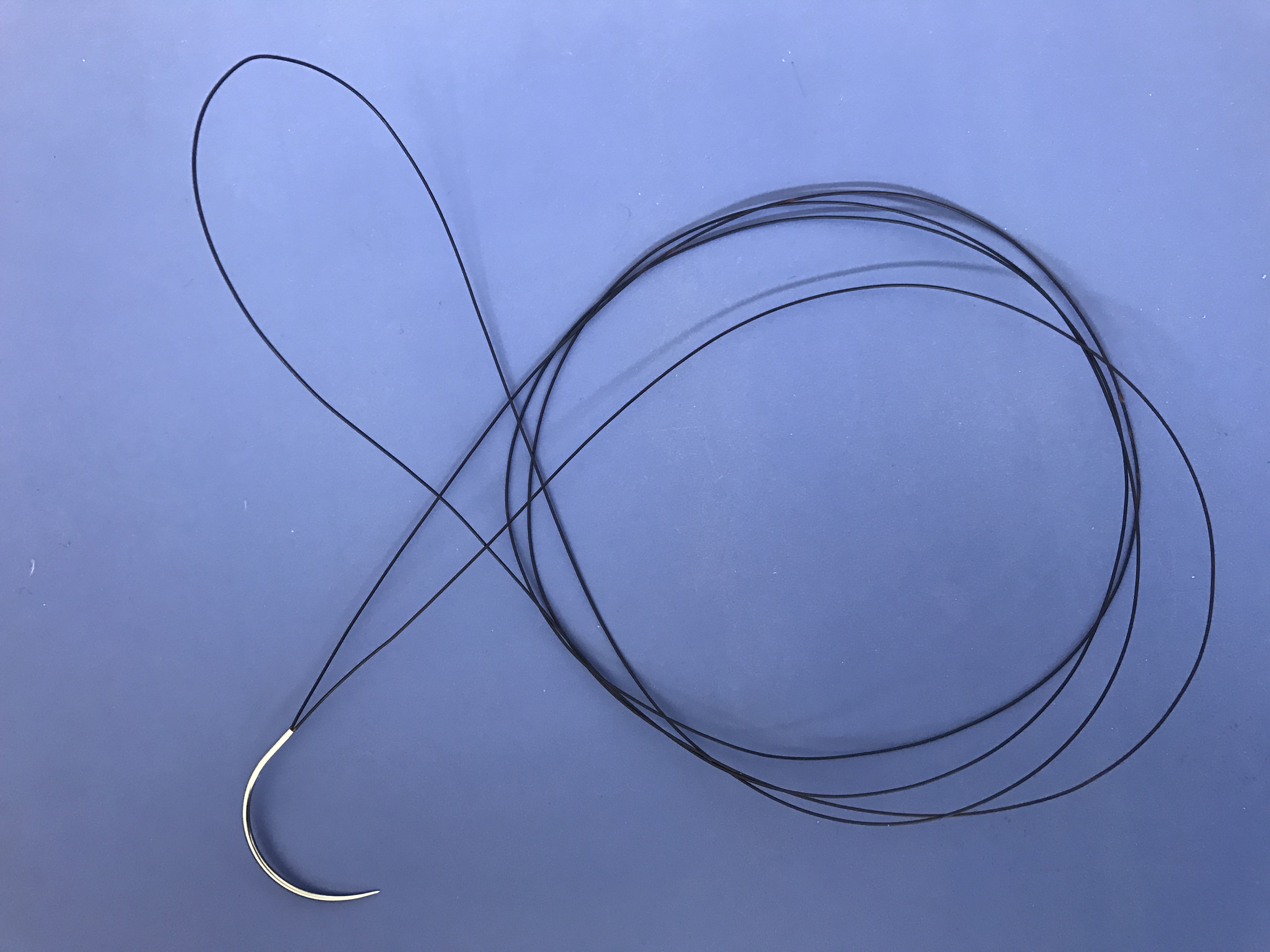 1563177150643085.jpg IMG_3824.JPG