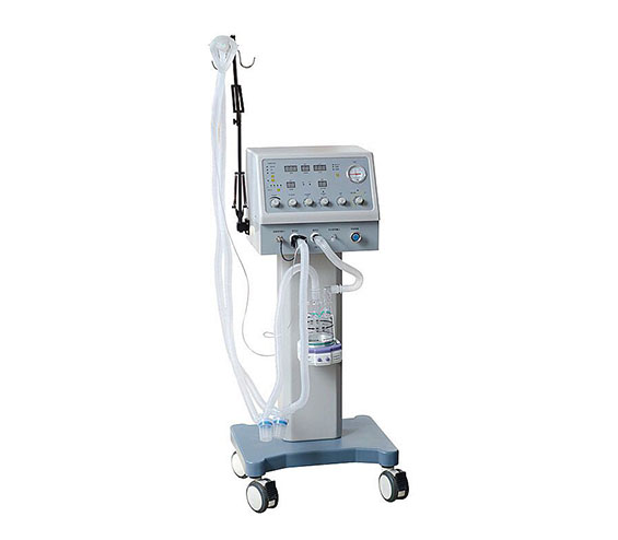 1579071308712818.jpg 31.jpg