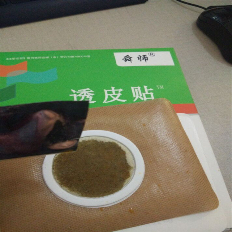 沙蒿子透皮貼 (7).jpg