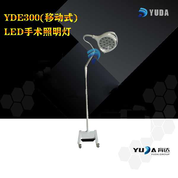 YDE300D.jpg