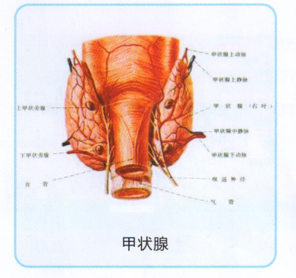 1661936488379697.png QQ截圖20220831170011.png