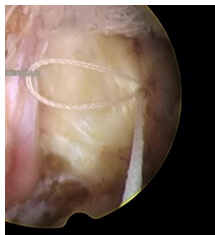 1684895591117117.png f3cc39a85fbd5b3b42ca3c921c89a3a.png