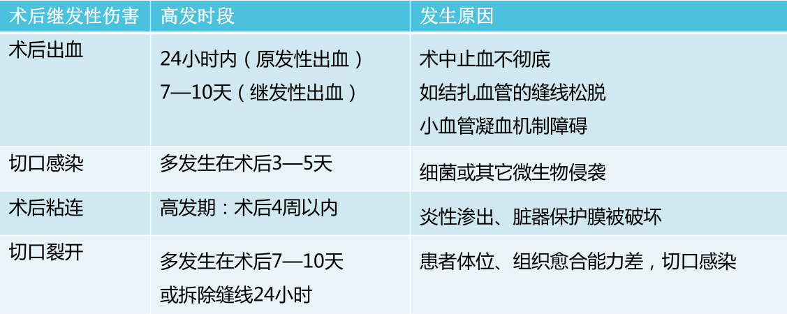 1697596990493744.png 1.png